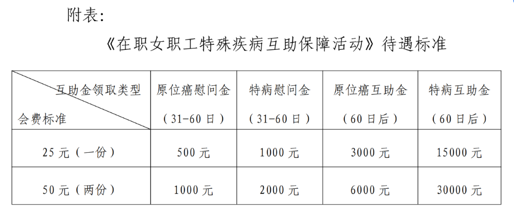 1标准版理赔待遇
