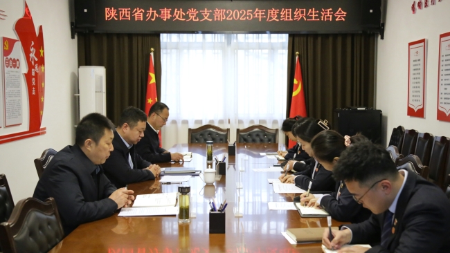 中互会陕西省办事处党支部召开2025年度组织生活会